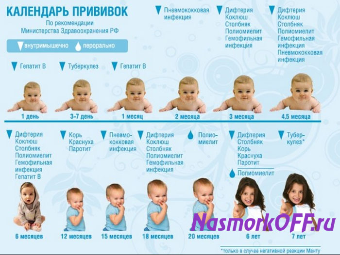 Календарь прививок детям