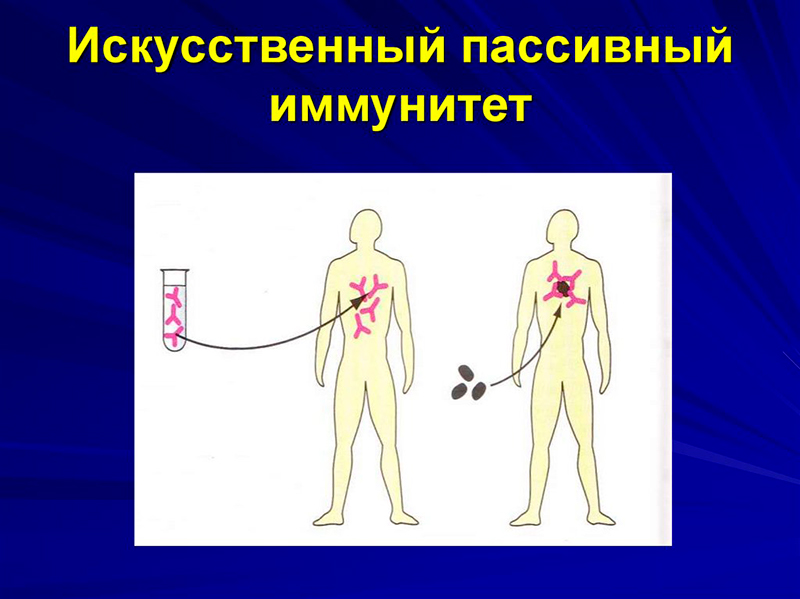 пассивный искусственный иммунитет
