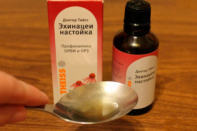 настойка эхинацеи