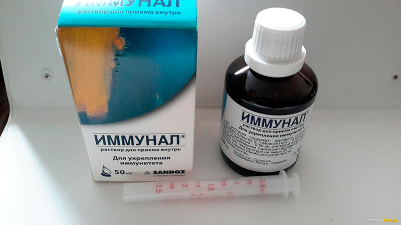 иммунал для иммунитета