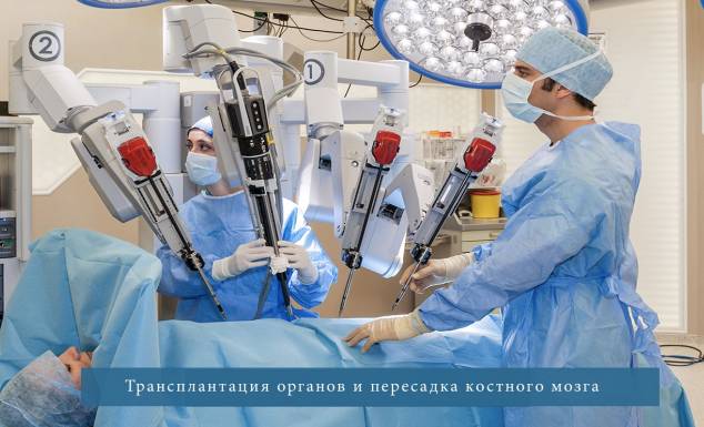 1 костный мозг трансплонтация