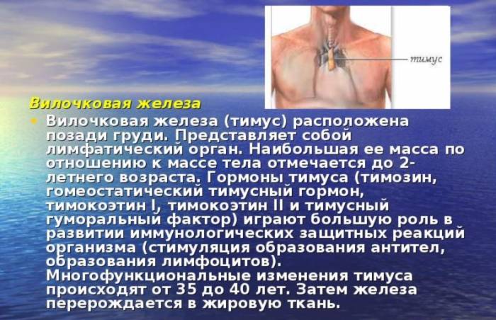 1 стимуляция тимуса