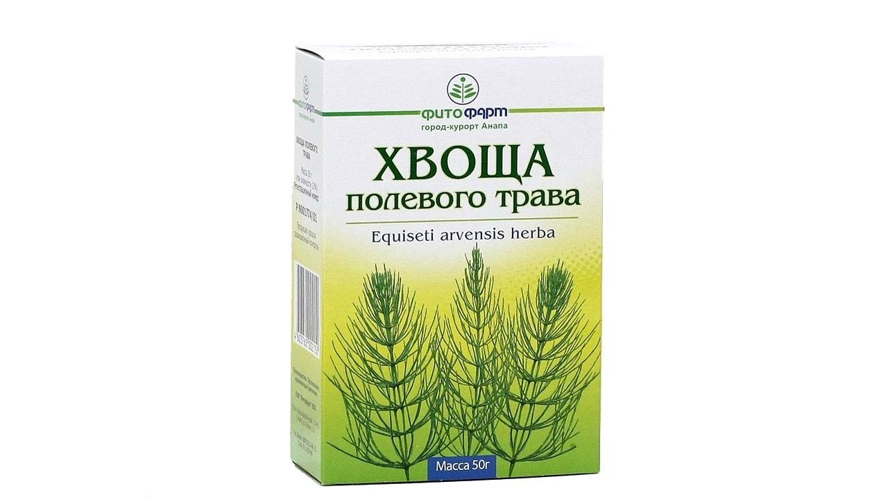 Хвощ при аденоидах