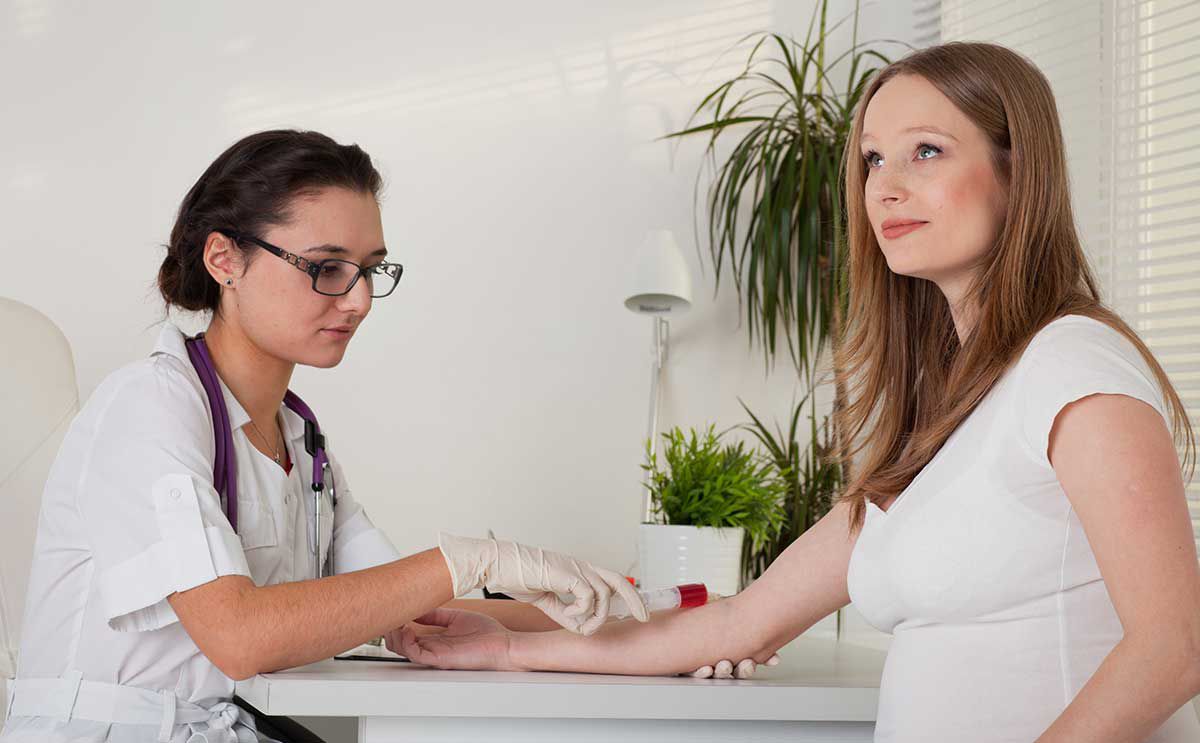 Количество лимфоцитов при беременности Количество лимфоцитов при беременности