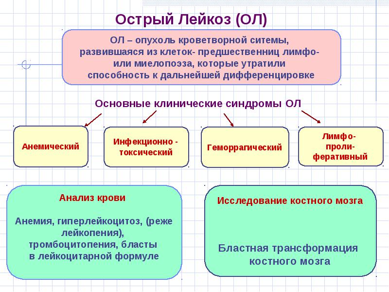 Диагностика острого лейкоза
