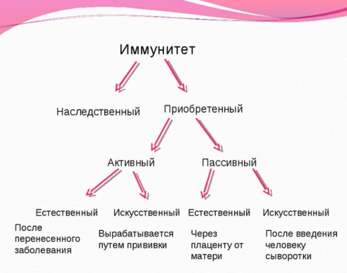 виды иммунитета