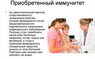 Приобретенный иммунитет: что нужно знать о нем