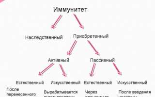 Виды человеческого иммунитета