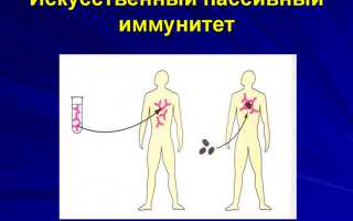 Пассивный иммунитет: интересные сведения и факты о нем