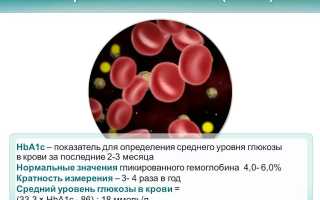 Гликированный гемоглобин — как сдать анализ и о чем расскажут результаты