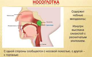 Как выглядят аденоиды в носу и как их лечить?