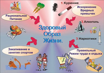 Здоровая жизнь Здоровая жизнь