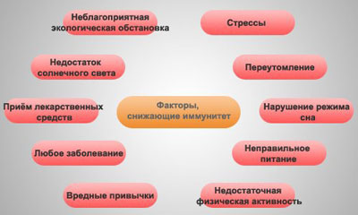 снижение иммунитета снижение иммунитета